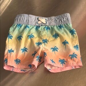 Cat & Jack-  Palm Tree Swim Shorts